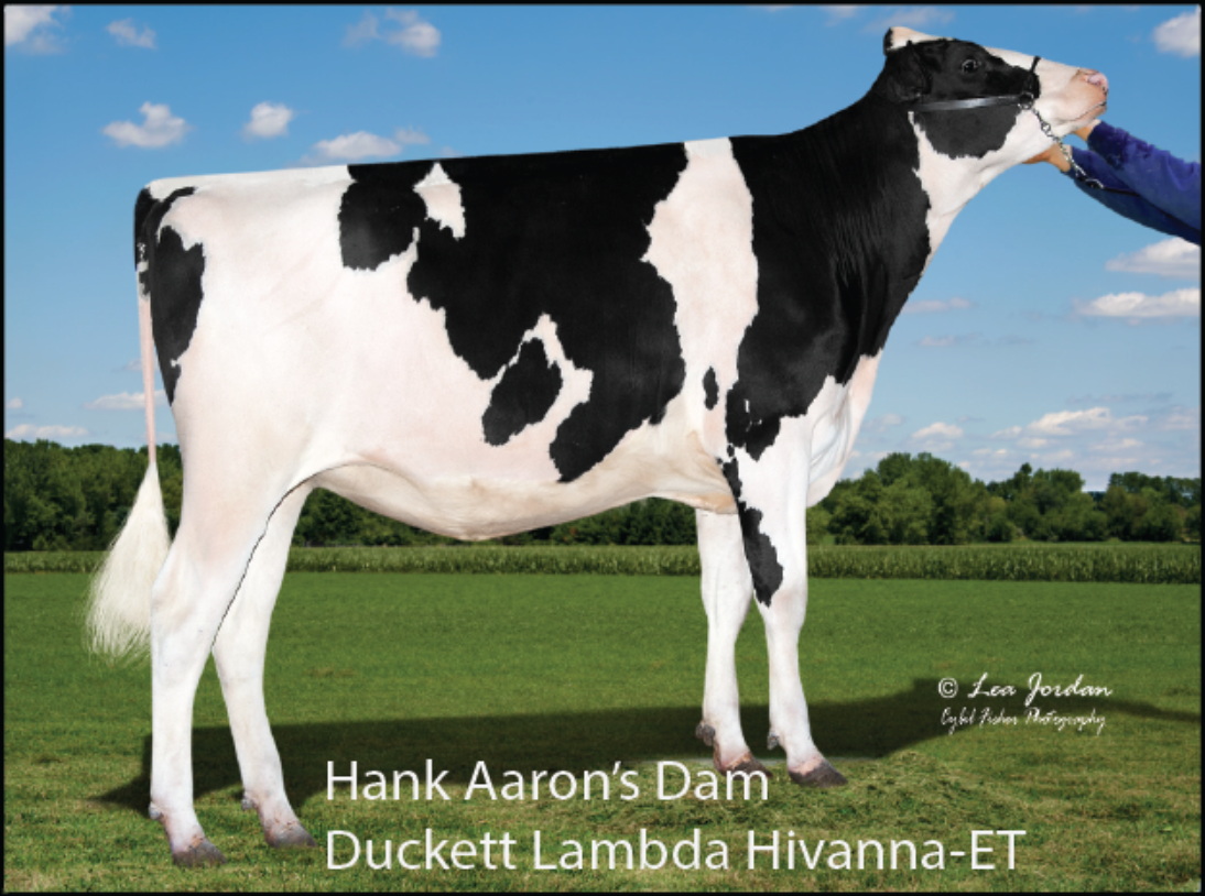 DUCKETT LAMBDA HIVANNA